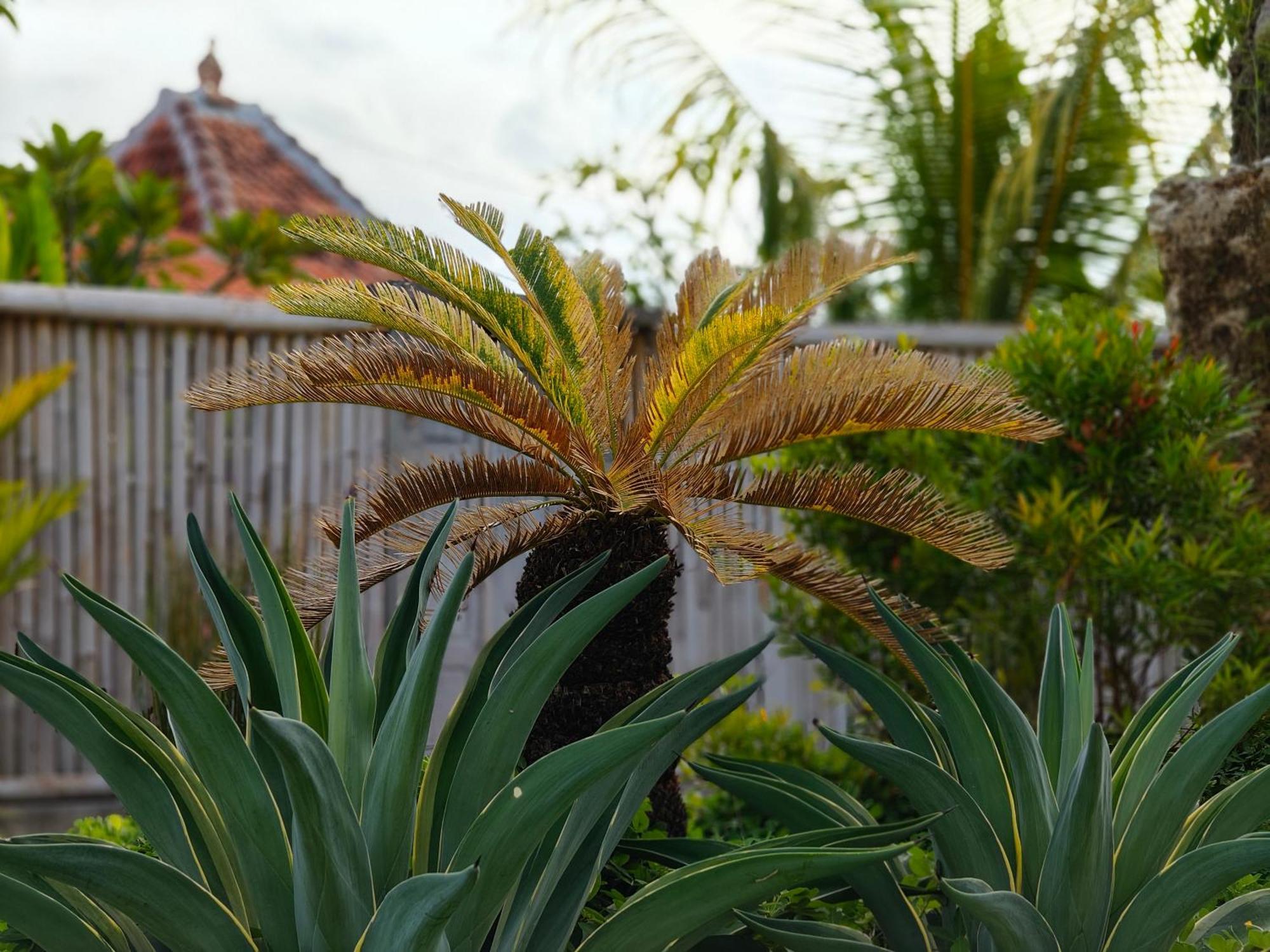 Alam Cottage Uluwatu 외부 사진